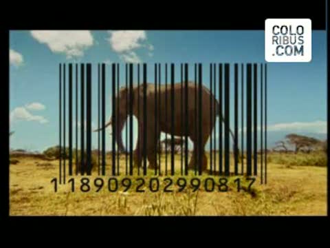 động vật barcode