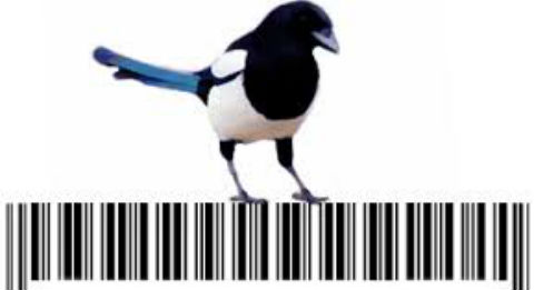mã vạch - bird